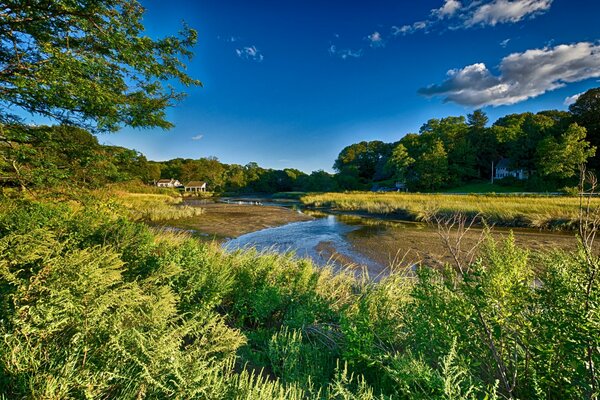 Bellissimo paesaggio a New York. Erba verde, fiume misterioso