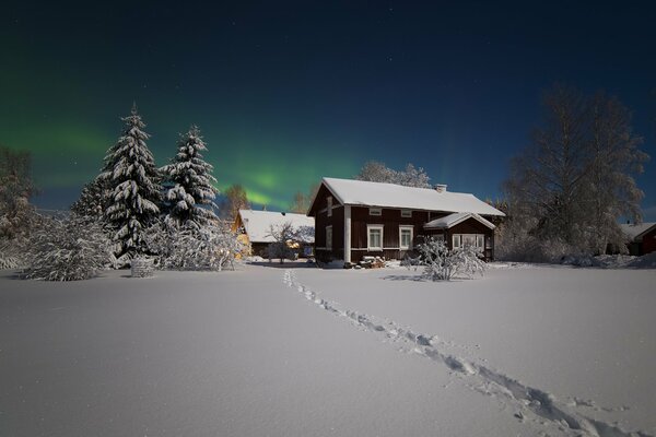 Ein Haus mit Weihnachtsbäumen an einem verschneiten Wintertag