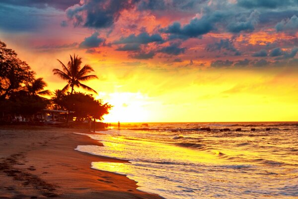 Vagues de coucher de soleil côte tropicale