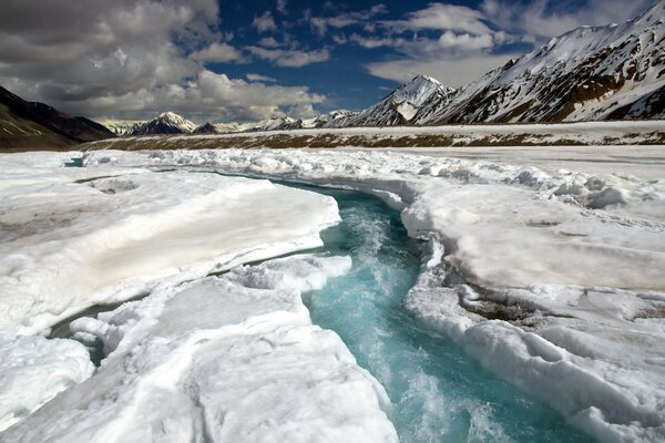 Montañas y naturaleza invernal envuelta en nieve