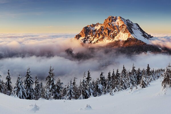 Montañas y bosques en la nieve paisaje de invierno