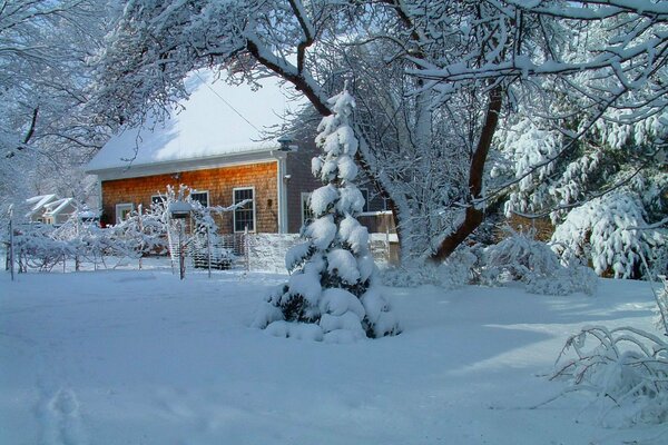 Belle maison sous la neige en hiver