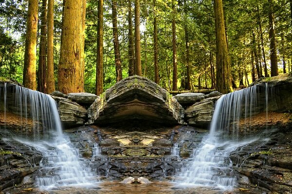 Beautiful waterfall among tall trees