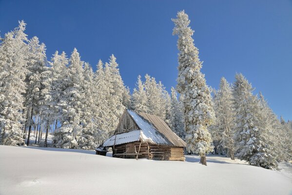 A lonely house in the snowy forest of Poland