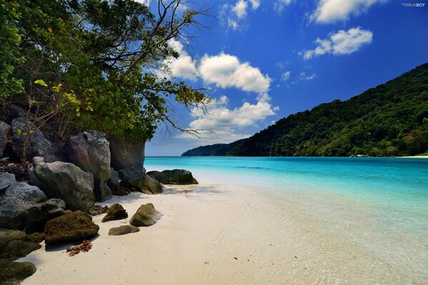 A resort island in the ocean. Beach summer