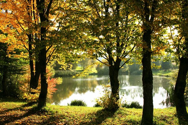 Reflexion des Sonnenlichts im Teich