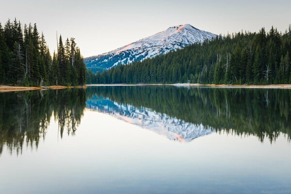 Reflejo de la cima de la montaña en el agua de la orilla del bosque