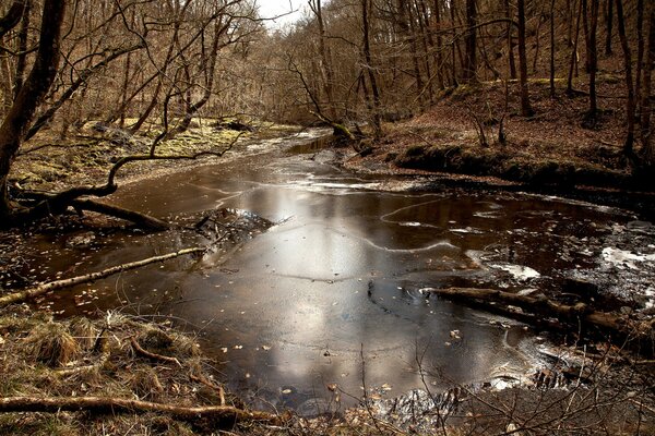 The first ice in late autumn