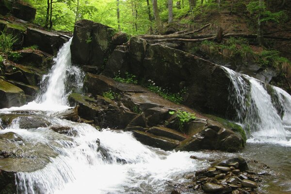 Immagine della cascata di usignolo in Ucraina