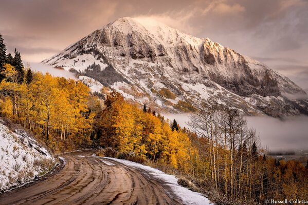 Strada per le montagne sullo sfondo della foresta autunnale