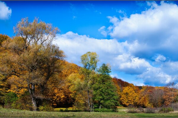 Helle Helme der Herbstnatur