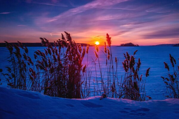 Winter frosty sunset in the glow