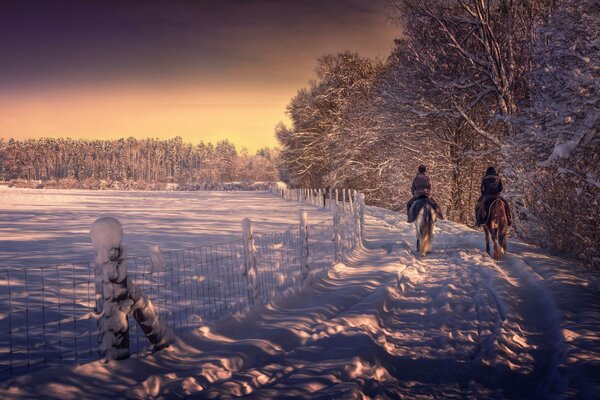 Reitspaziergang durch den Winterwald