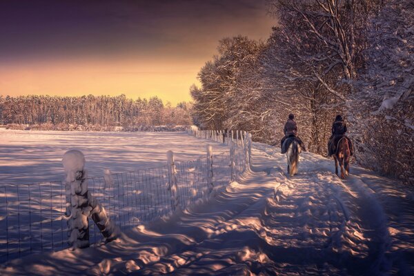 Promenade à cheval dans la forêt d hiver
