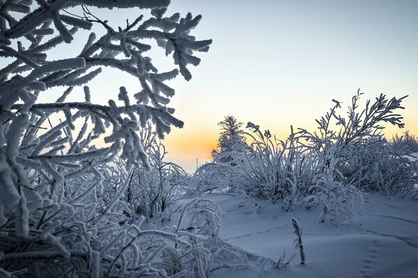 Winterlandschaft im Morgengrauen