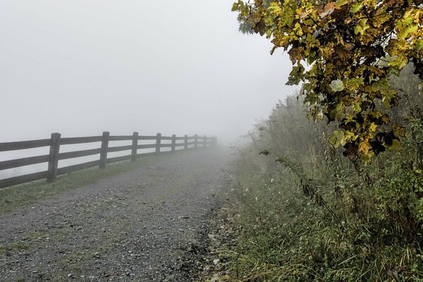 Ścieżka wzdłuż ogrodzenia odchodząca we mgle