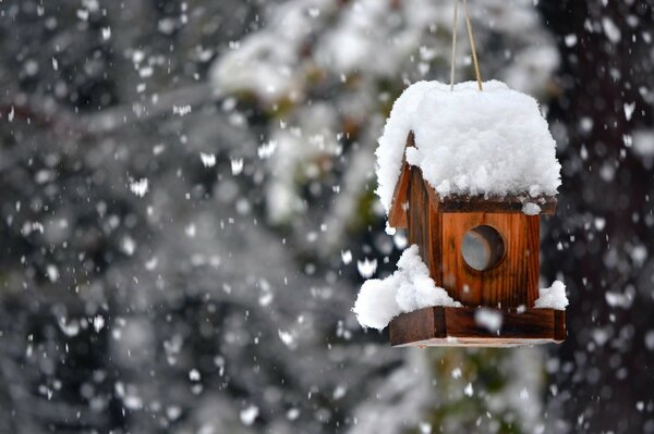 Birdhouse in the snow in winter in a snowfall