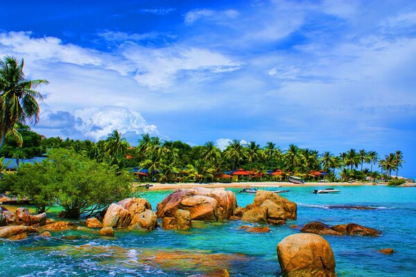 Paysage de nature exotique, plage et parasols