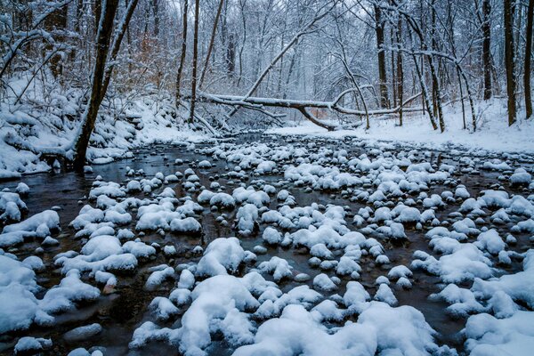 Gefrorener Fluss und Bäume unter Schnee