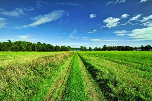 Atemberaubende Landschaft von Himmel und Feld