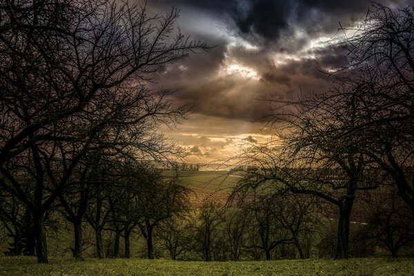 Wolken am Himmel, ein Sonnenstrahl durch die düsteren Wolken, der den Blick auf das Feld zeigt, darauf ackern Bäume