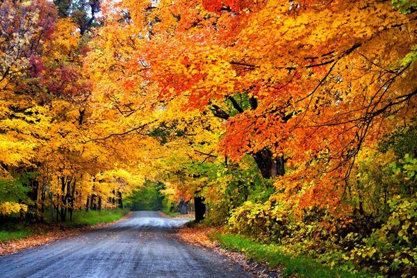 Der Herbstpark ist sehr schön