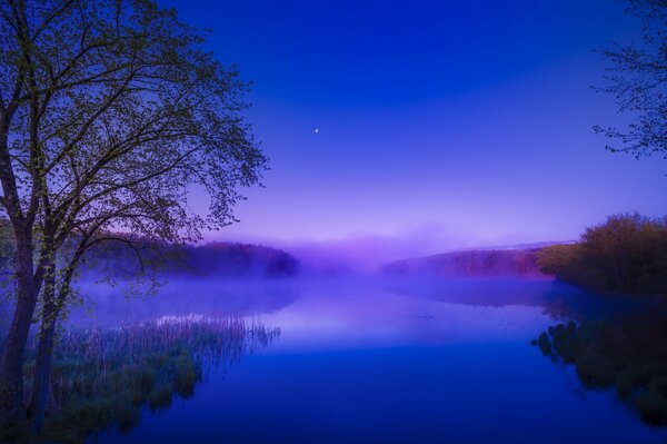 Dämmerung im Wald über dem Fluss im Nebel