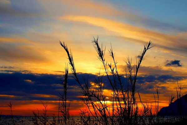 Beautiful sunset blue clouds