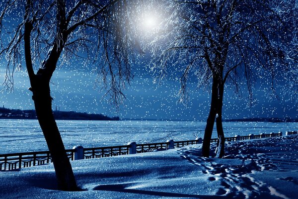 Hermoso paisaje nocturno de invierno