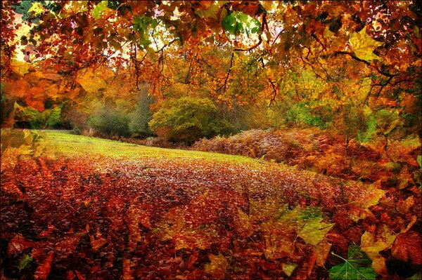 Paisaje de otoño en Hampshire, Inglaterra