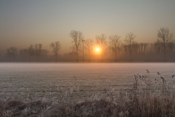 Frosty dawn in the village fields