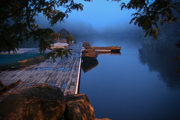 Brouillard sur la rivière et le silence