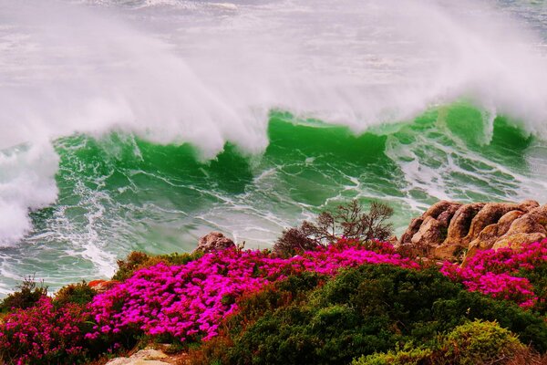 Olas tormenta tiempo en caso