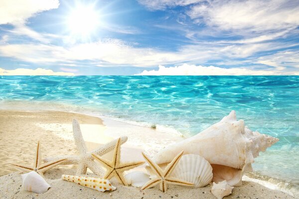 Лазурный берег. Белый песок и ракушки. Морские звезды на пляже. Отпуск и отдых