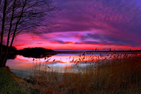 Coucher de soleil lilas sur le lac de la forêt