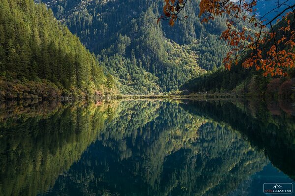 Früher am Morgen sehen die Berge den Bergsee an, der eine perfekte Reflexion gibt. Im Spiegel der Wasseroberfläche video Berge, Wald Bäume