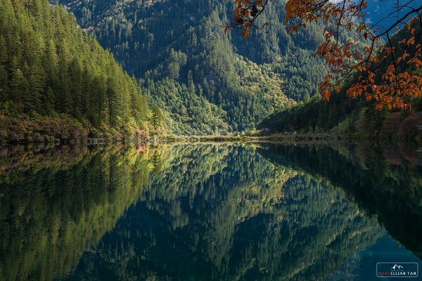 Temprano en la mañana, las montañas miran el lago de montaña da un reflejo perfecto. En el espejo de la superficie del agua de vídeo montañas, árboles del bosque