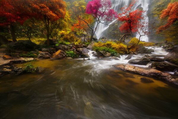 Ein Wasserfall mit einem Fluss in der Nähe, an dem schöne Bäume im Wald stehen