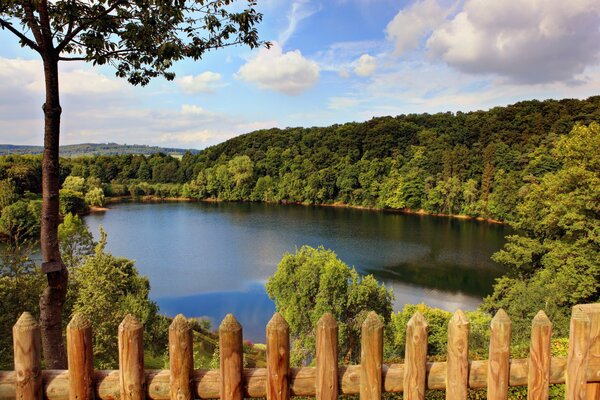 Paesaggio estivo sul lago circondato da fitti alberi