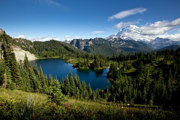 Reflection of the blue sky in the forest lake