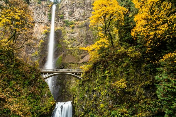 Puente sobre cascada en el bosque de otoño