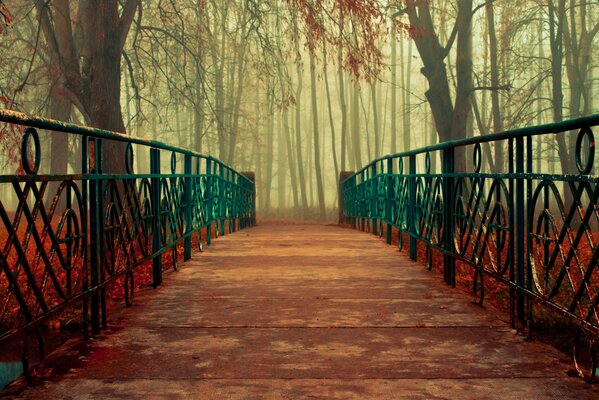 Picturesque bridge in the autumn forest