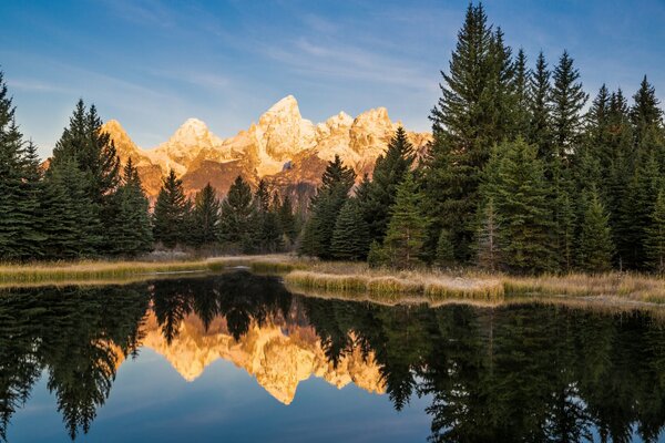 Ruhiger Morgen im Nationalpark