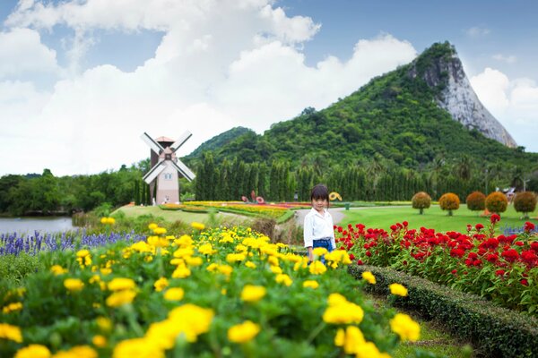 Mohntal in den Bergen von Pattaya