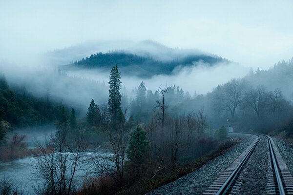 Eisenbahn im nebligen Wald