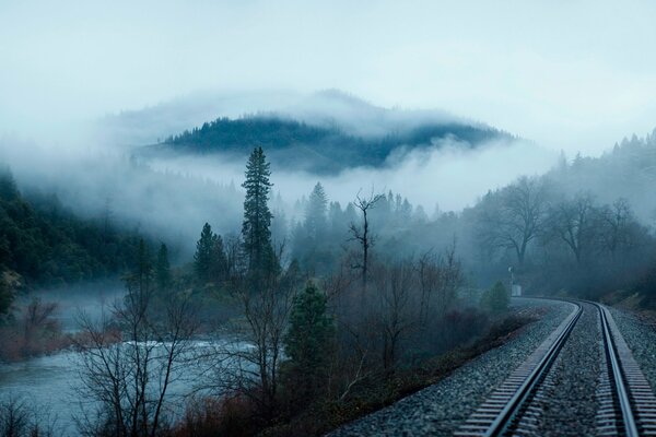 Железная дорога в туманном лесу
