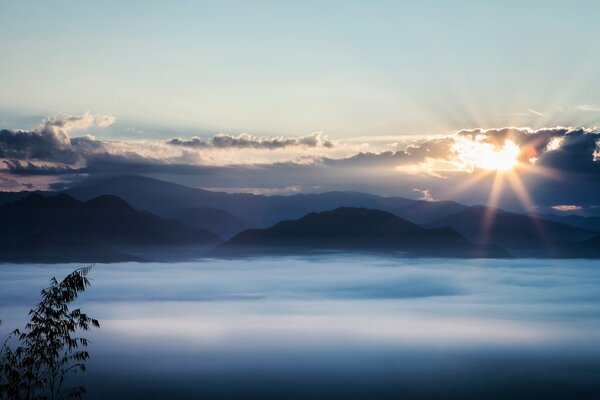 Montagne nuages coucher de soleil arbre