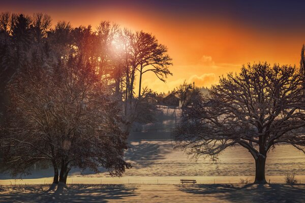 Sonniger Wintertag Foto in ungewöhnlicher Verarbeitung