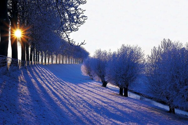 Winterlandschaft Natur im Morgengrauen