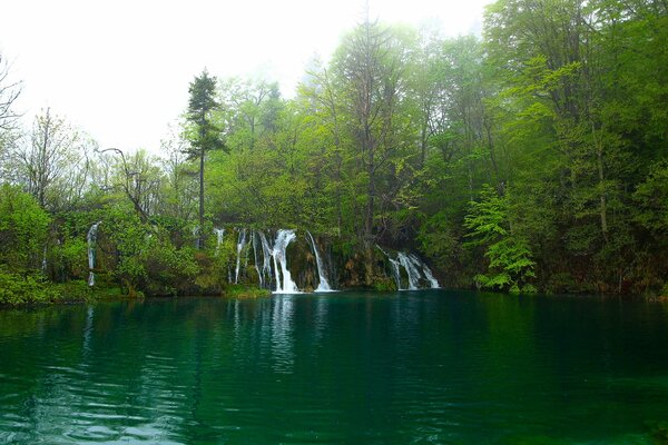 Waterfall flowing into a lake in the forest